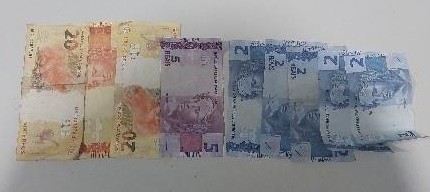 Homem rouba motorista de ônibus, foge por córrego e é atacado por pitbulls ao invadir quintal